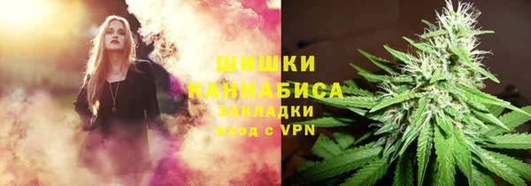 индика Верхний Тагил