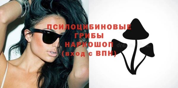 индика Верхний Тагил
