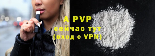 индика Верхний Тагил