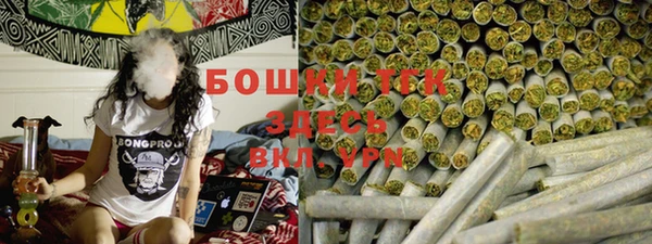гидра Володарск
