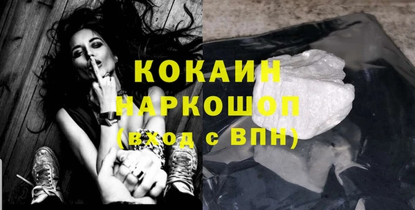 гидра Володарск