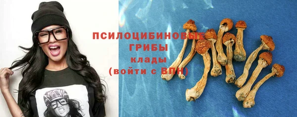 индика Верхний Тагил