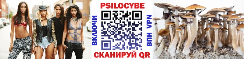 Псилоцибиновые грибы ЛСД  где купить   Георгиевск 